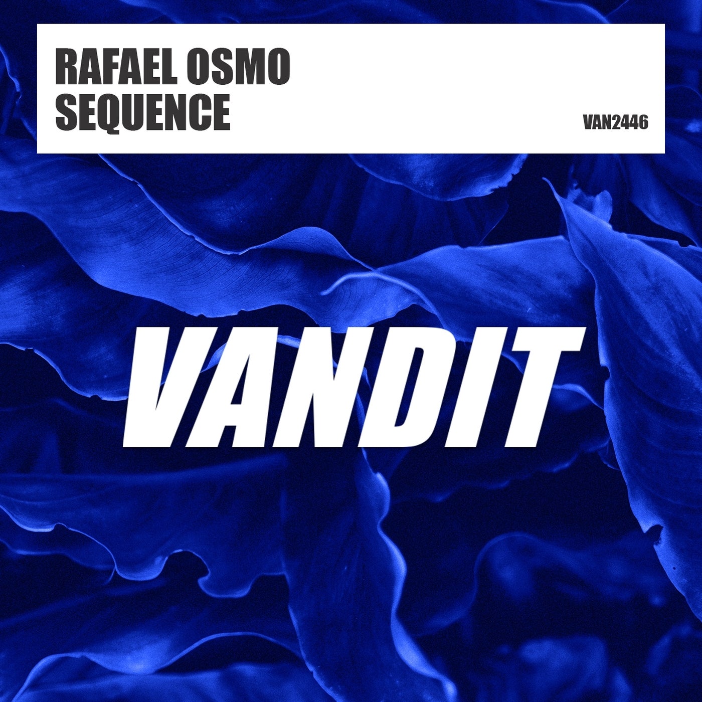 Rafael Osmo - Sequence [VAN2446]